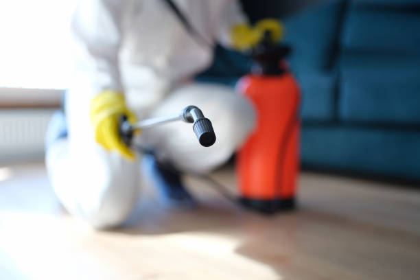 Best Industrial Mold Remediation  in West Easton, PA